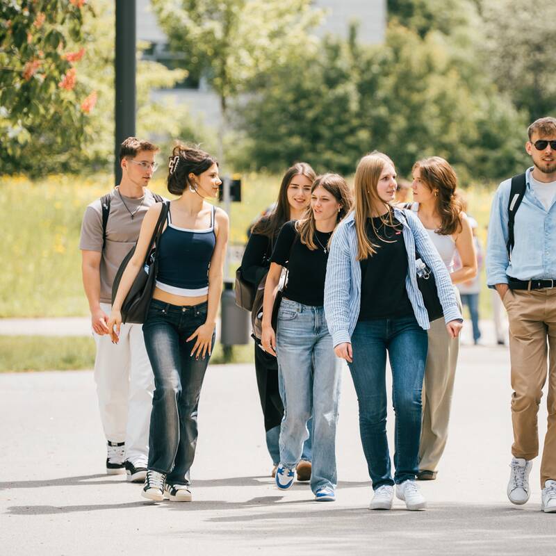 Eine Gruppe junger Menschen spaziert auf einem sonnigen Gehweg durch einen grünen Park.