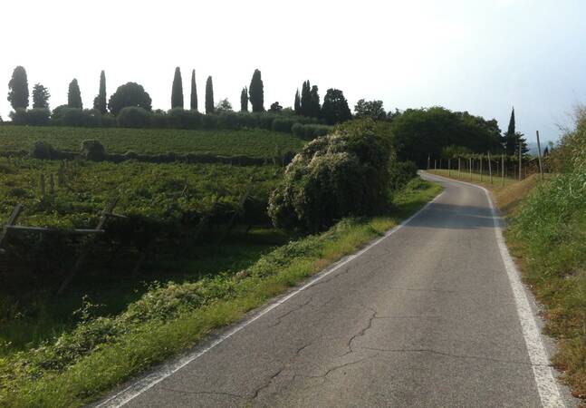 Das Bild zeigt eine Straße in einer Landschaft